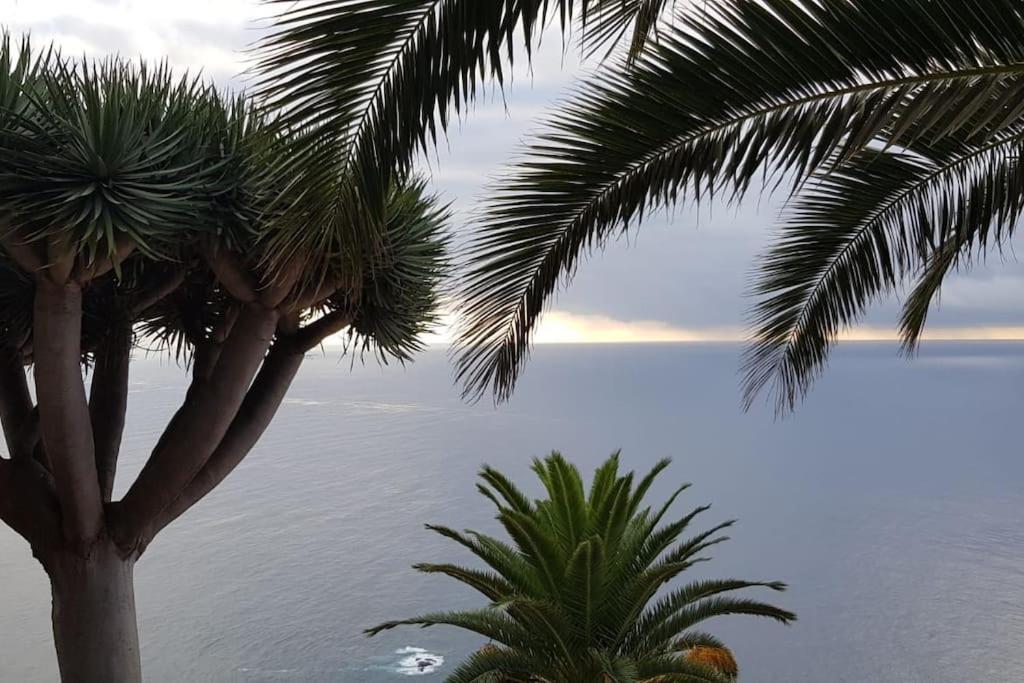 Wish You Were Here Puerto de la Madera 外观 照片